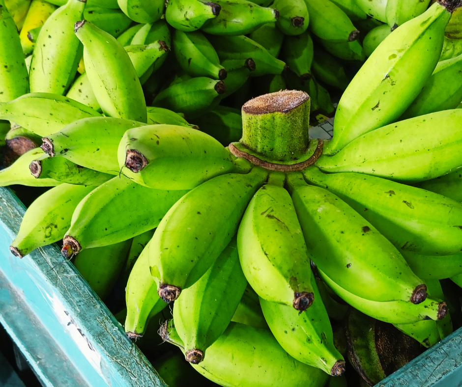 Fresh Banana Fruit from Malaysia Agriculture - Local Farm Produce